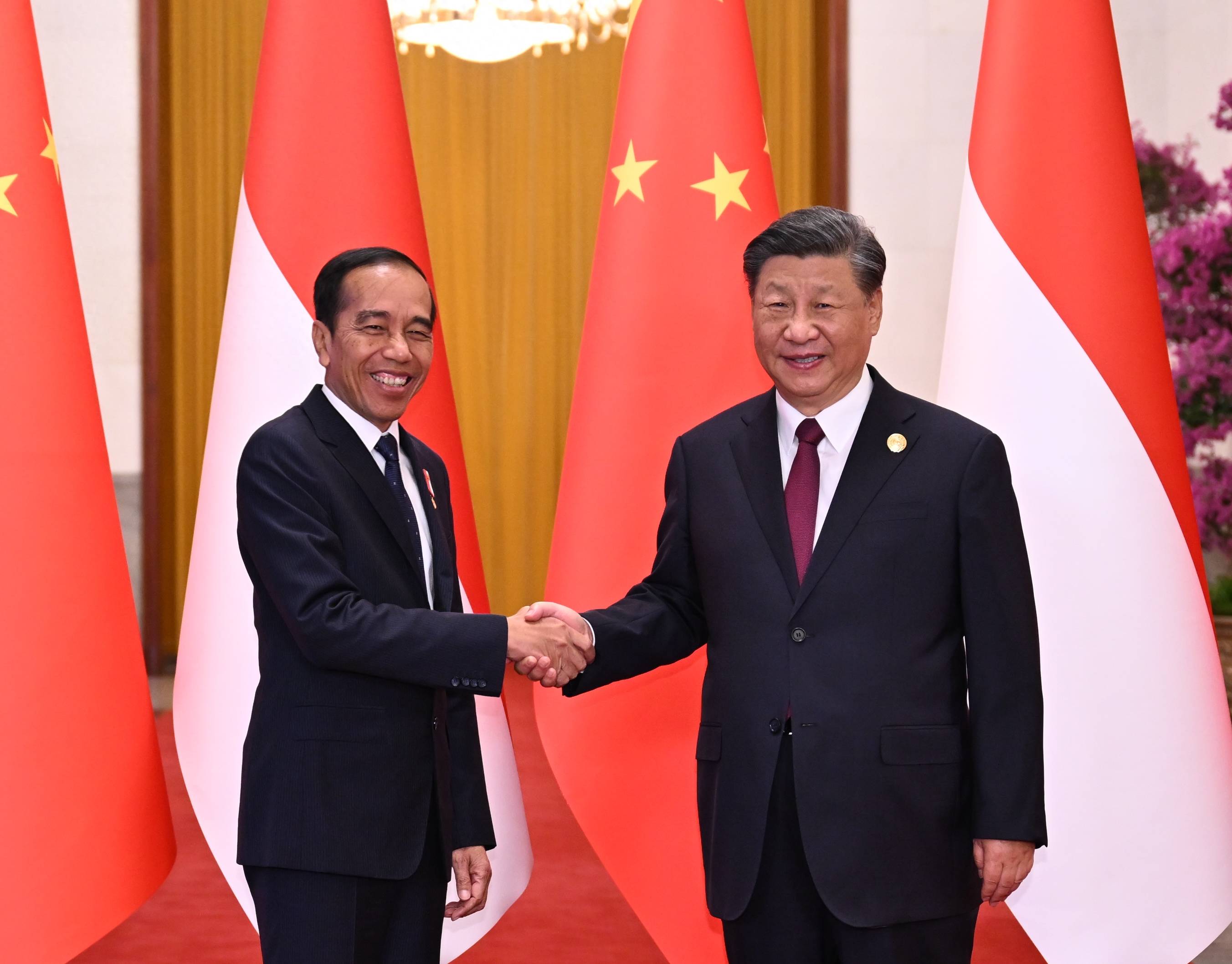 （“一带一路”高峰论坛）习近平同印度尼西亚总统佐科会谈