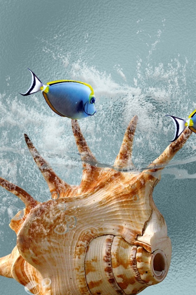 上鱼苹果版上虞苹果官方维修点-第2张图片-太平洋在线下载 上鱼苹果版上虞苹果官方维修点-第2张图片-太平洋在线下载